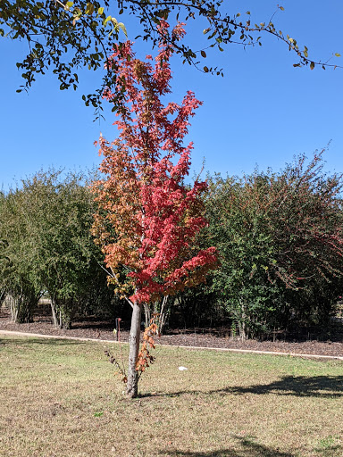 Park «Mike Lewis Park», reviews and photos, 2410 N Carrier Pkwy, Grand Prairie, TX 75050, USA