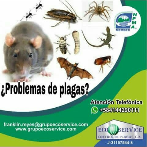 Ecoservice Control de Plagas, C A