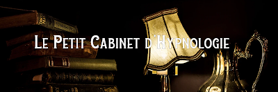 Le petit cabinet d'hypnologie- Cabinet d'hypnose à Lannemezan
