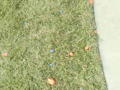 Park «Collins Park», reviews and photos, 2100 Collins Ave, Miami Beach, FL 33140, USA