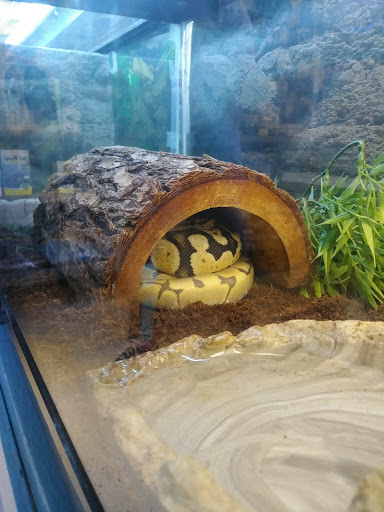 Pet Store «Pet Cove», reviews and photos, 820 E Center St, Kingsport, TN 37660, USA