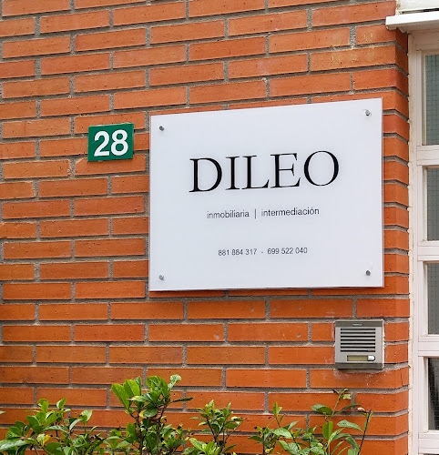 DILEO inmobiliaria