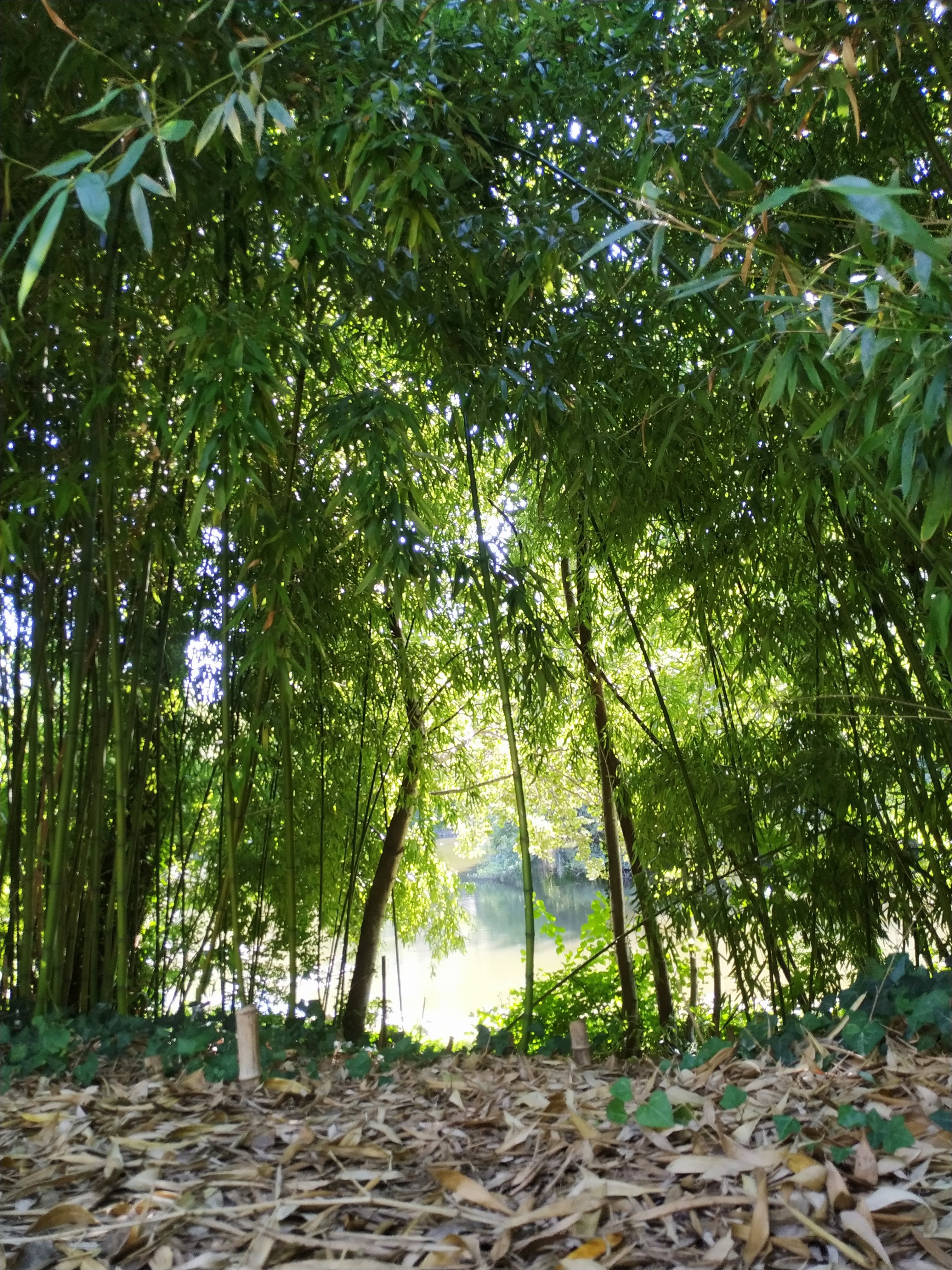 Photo n° 1 de l'avis de Bea. fait le 12/09/2021 à 12:13