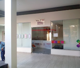 Pabellón Violetas photo