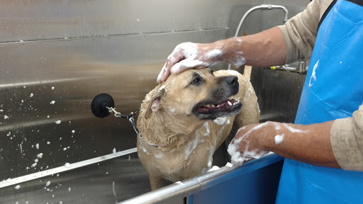 Pet Supply Store «PetPeople», reviews and photos, 3330 Washtenaw Ave, Ann Arbor, MI 48104, USA