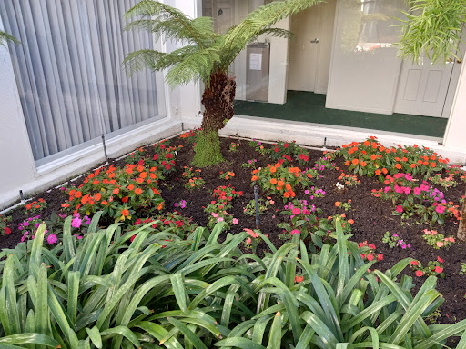 Funeral Home «Inglewood Cemetery Mortuary», reviews and photos, 3801 W Manchester Blvd, Inglewood, CA 90305, USA