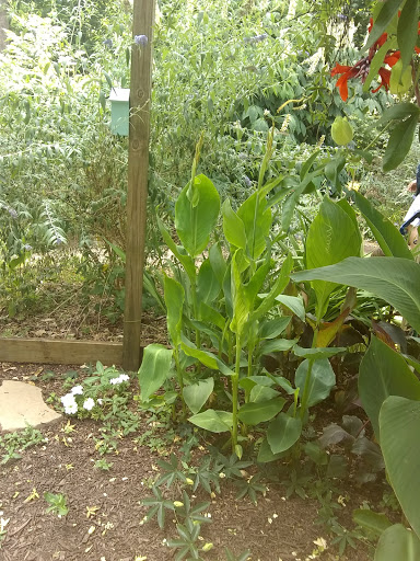 Government Office «Bear Hollow Wildlife Trail», reviews and photos, 293 Gran Ellen Dr, Athens, GA 30606, USA