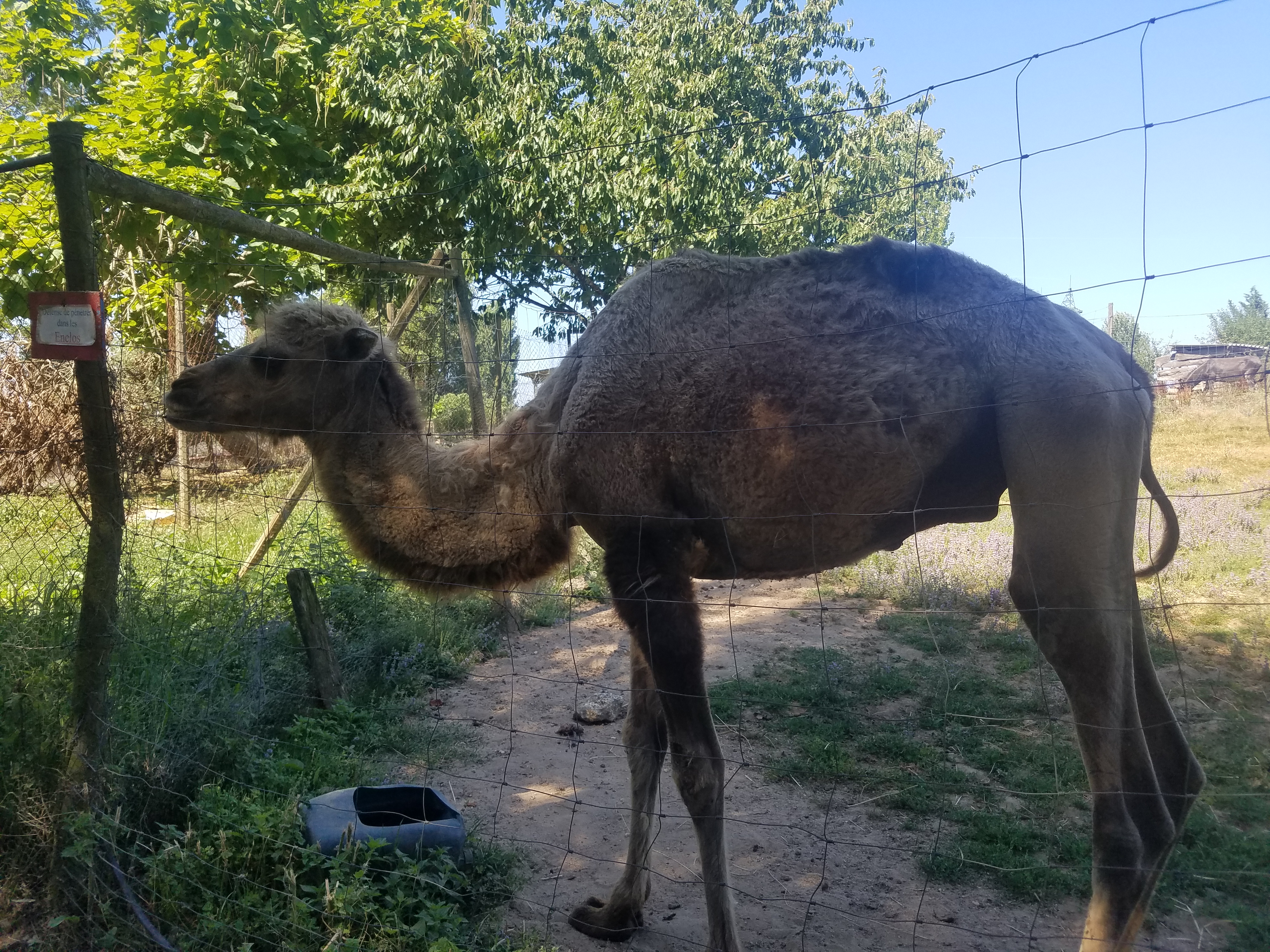 Photo n° 10 de l'avis de Jenny.o fait le 03/08/2018 à 15:13
