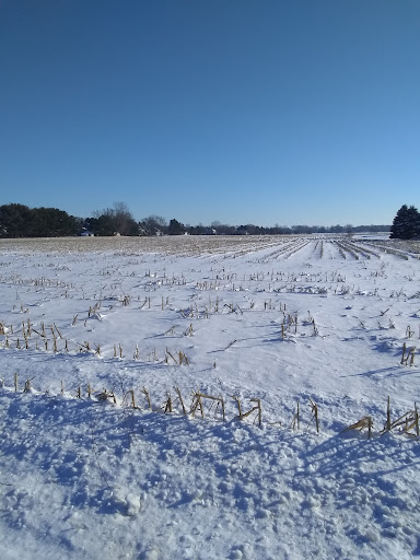 Home Improvement Store «Cadillac Pro Hardware», reviews and photos, 2479 W Davison St, Detroit, MI 48238, USA