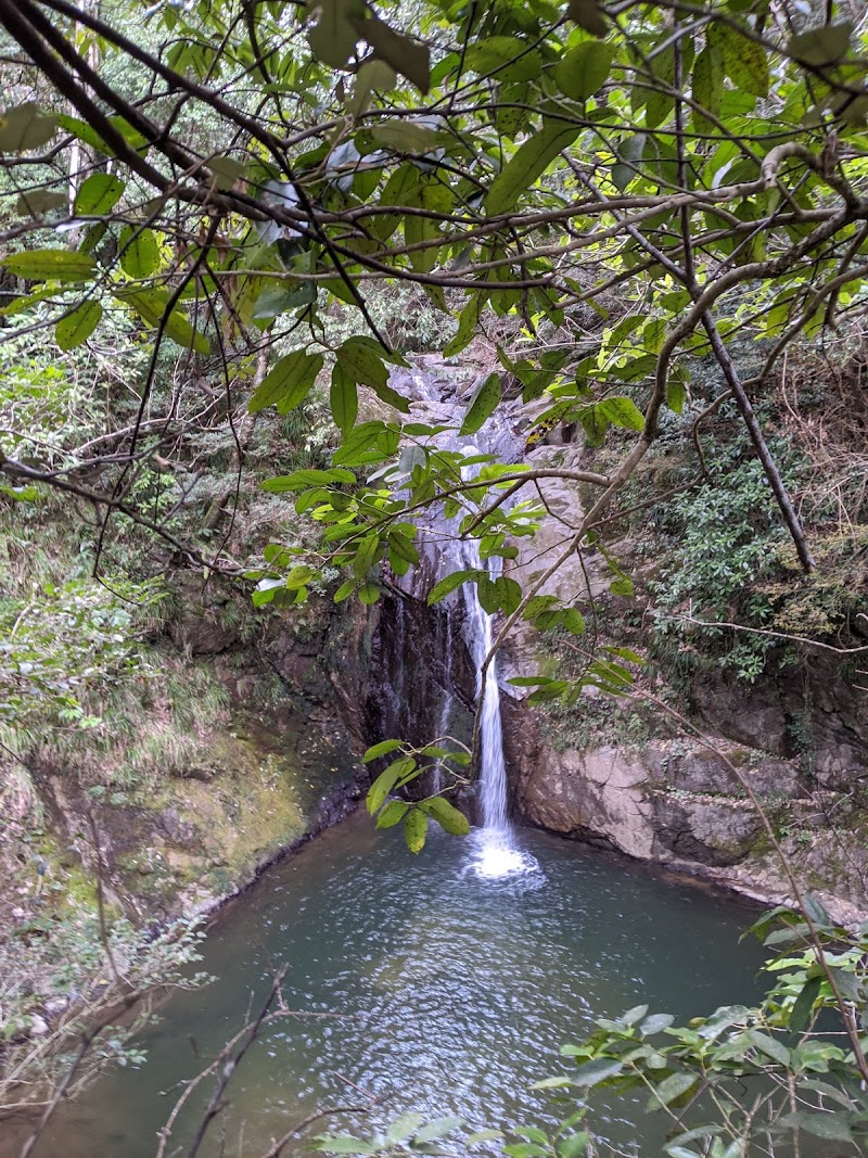 奥野千本桜