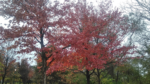 Park «Route 66 Park», reviews and photos, 920 N Broadway St, Joliet, IL 60435, USA