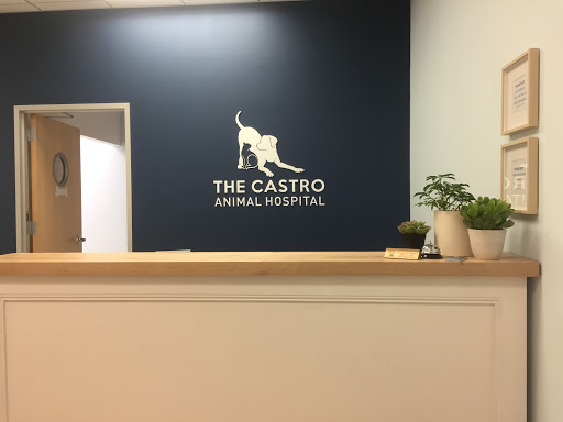 The Castro Animal Hospital