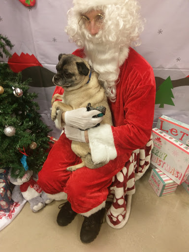 Pet Supply Store «PetSmart», reviews and photos, 2102 W Union Blvd #22A, Bethlehem, PA 18018, USA