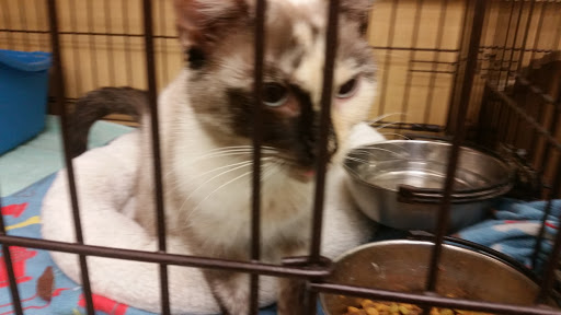 Pet Supply Store «Pet Supplies Plus», reviews and photos, 311 Sagamore Pkwy N, Lafayette, IN 47904, USA