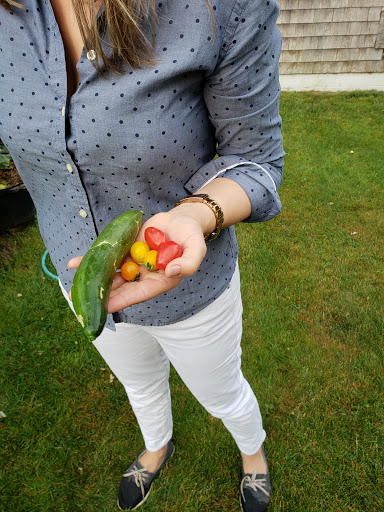 Health Food Store «Vineyard Grocer», reviews and photos, 294 State Rd, Vineyard Haven, MA 02568, USA