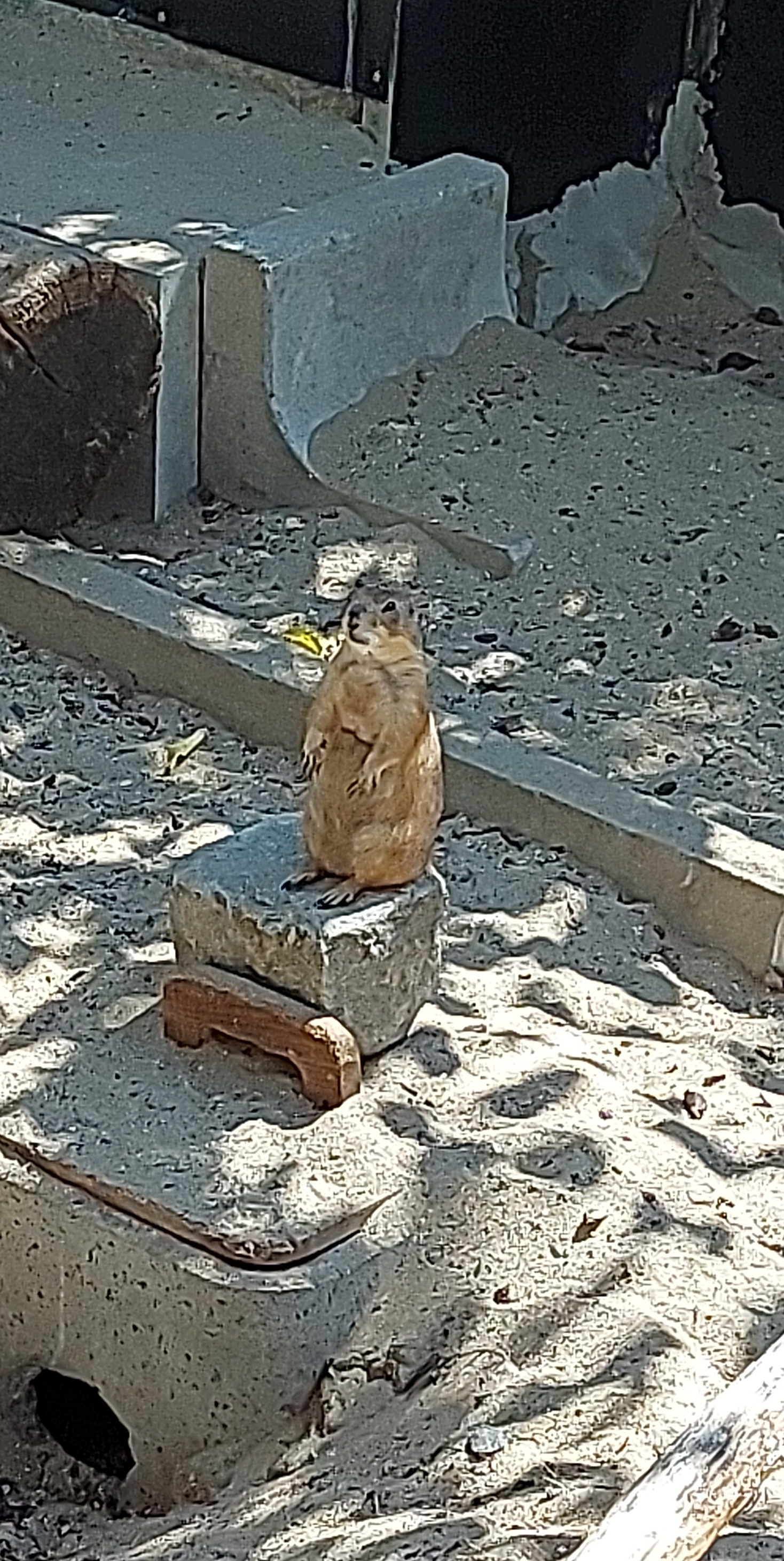 Photo n° 4 de l'avis de Raphaël. fait le 13/06/2023 à 19:57