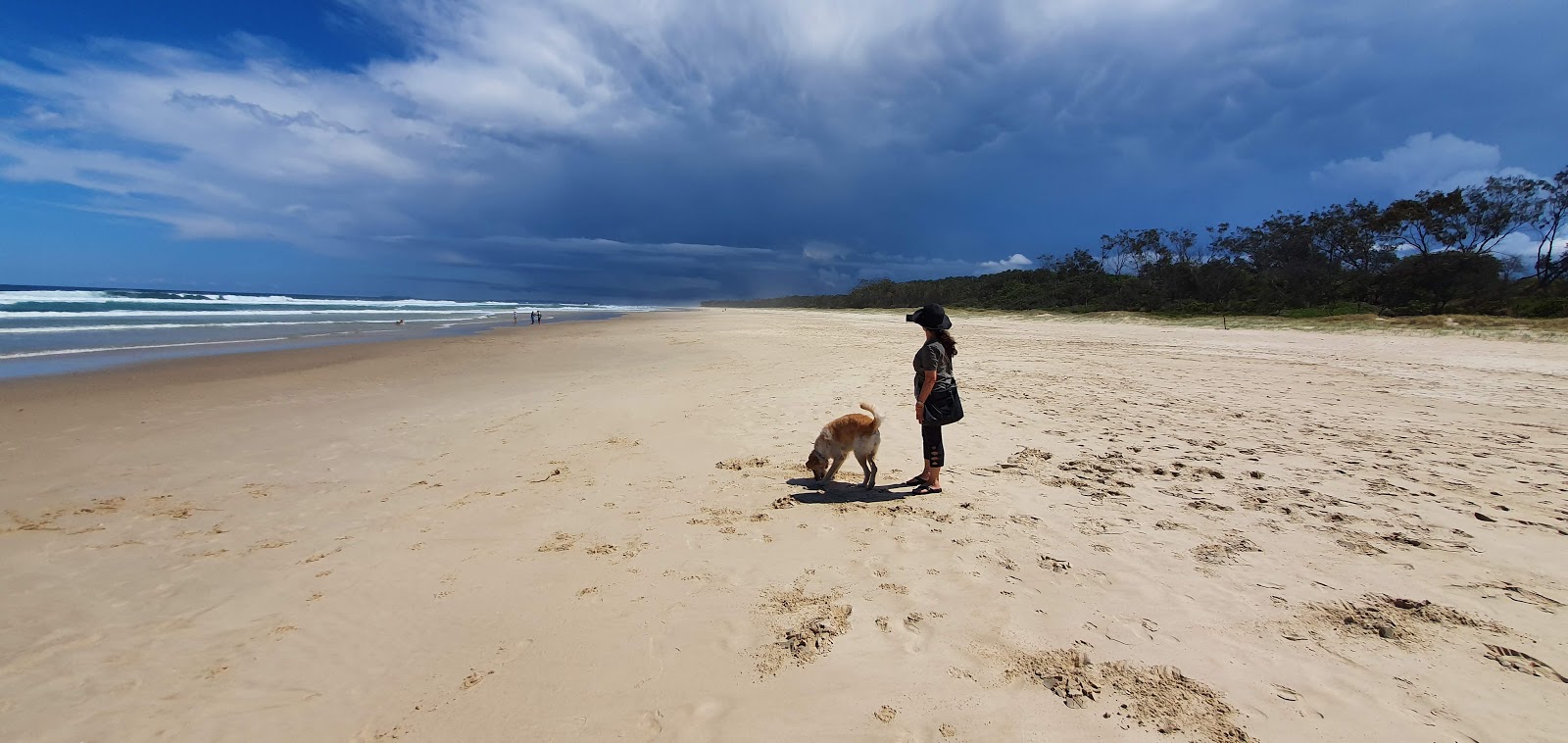 Pottsville Beach'in fotoğrafı doğal alan içinde bulunmaktadır
