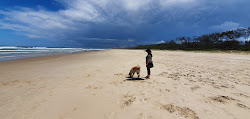 Pottsville Beach'in fotoğrafı doğal alan içinde bulunmaktadır