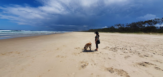 Pottsville Beach