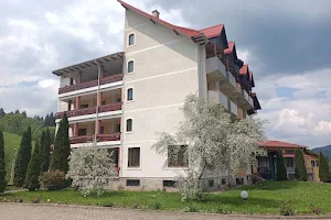 Hotel Șandru image