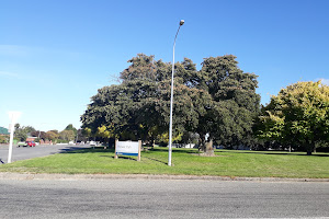 Pioneer Park Ashburton