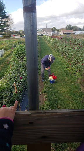 Farm «Four Town Farm», reviews and photos, 90 George St, Seekonk, MA 02771, USA