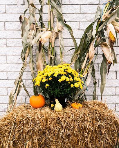 Pet Supply Store «Blue Seal Feeds Inc», reviews and photos, 876 Stillwater Ave # 1, Bangor, ME 04401, USA