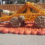 Photo n°14 de l'avis de Sylv.a fait le 19/09/2023 à 12:36 sur le  Bohrerhof Feldkirch à Hartheim am Rhein