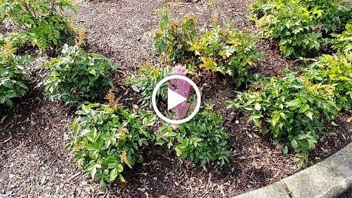 Park «Lundeen Park», reviews and photos, 10020 Lundeen Park Way, Lake Stevens, WA 98258, USA