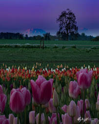 Jeffrey Knight Photography - Photo 3 - Car repair in , Salem