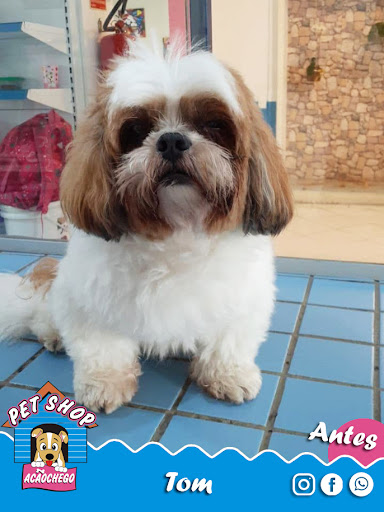 Logo da empresa - Pet Shop Acãochego