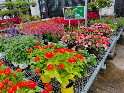 Home Improvement Store «The Home Depot», reviews and photos, 267 Alwington Blvd, Warrenton, VA 20186, USA