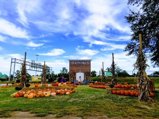 Shopping Mall «South Hills Shopping Center», reviews and photos, 1201 Buck Jones Rd, Raleigh, NC 27606, USA