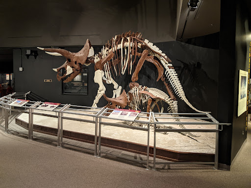 Science Museum «Museum of the Rockies», reviews and photos, 600 W Kagy Blvd, Bozeman, MT 59717, USA