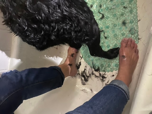 Pet Supply Store «Red Dog Hound & Pet Supply», reviews and photos, 3017 S Sheridan Rd, Tulsa, OK 74129, USA