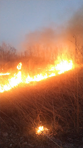 Nature Preserve «Marais Temps Clair Conservation Area», reviews and photos, 5134 Island Road, St Charles, MO 63301, USA