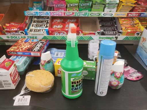 Dollar Store «Dollar Tree», reviews and photos, 1551 Missouri Ave N, Largo, FL 33770, USA