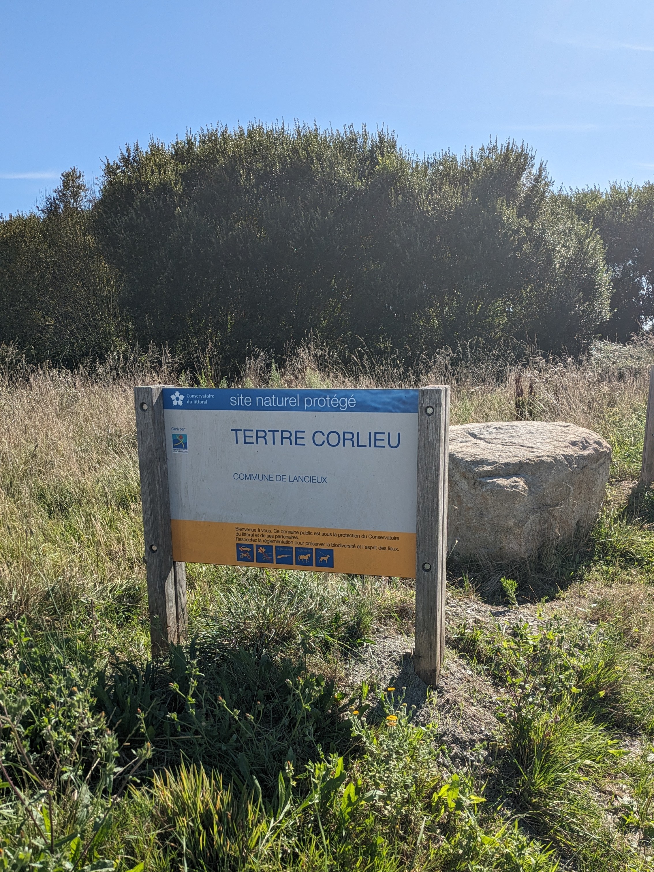 Photo n° 5 de l'avis de The.a fait le 22/08/2023 à 18:15