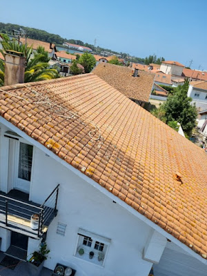 Couvreur Toulouse - Les toitures roses à Toulouse