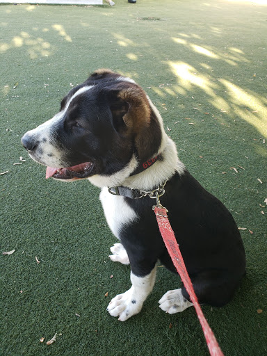 Pet Supply Store «Market Place Pet Supplies», reviews and photos, 7200 Dixie Hwy, Village of Clarkston, MI 48346, USA