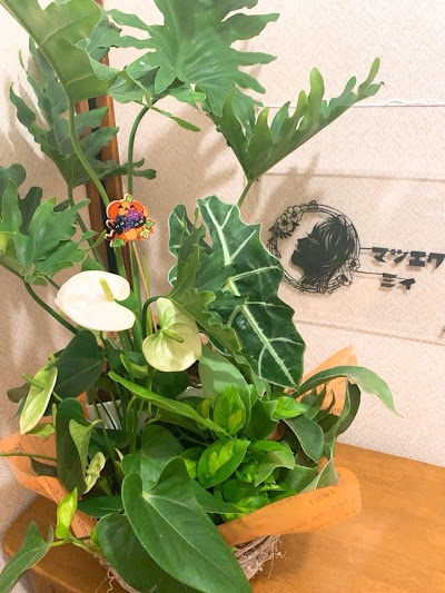 マツエク ミィ