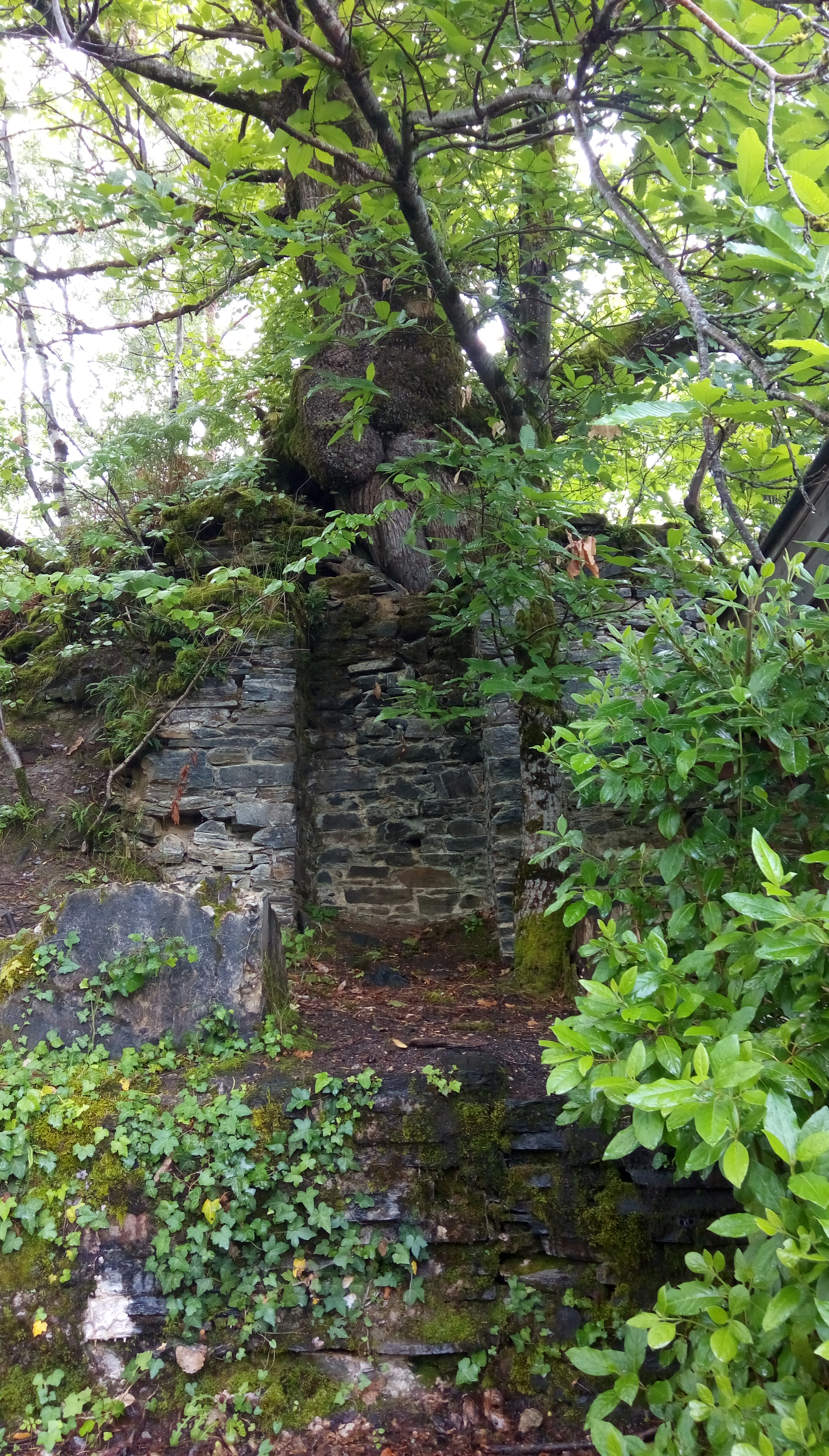 Photo n° 15 de l'avis de véronique.u fait le 13/06/2019 à 11:34