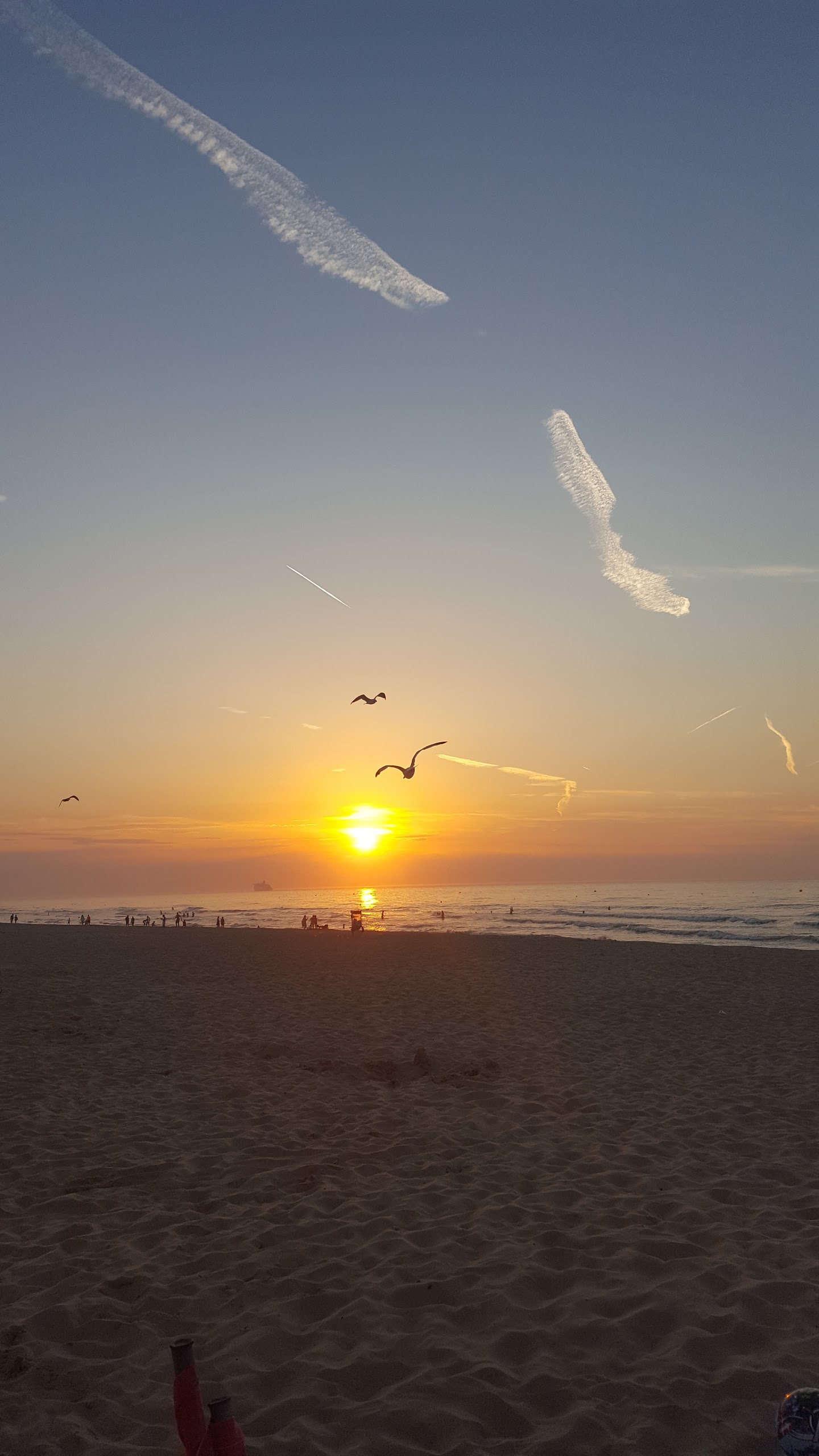 Photo n° 10 de l'avis de Isa.v fait le 28/02/2018 à 21:01