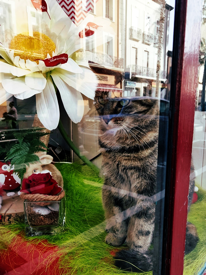 Photo n° 15 de l'avis de caTvalry.o fait le 03/02/2020 à 16:23
