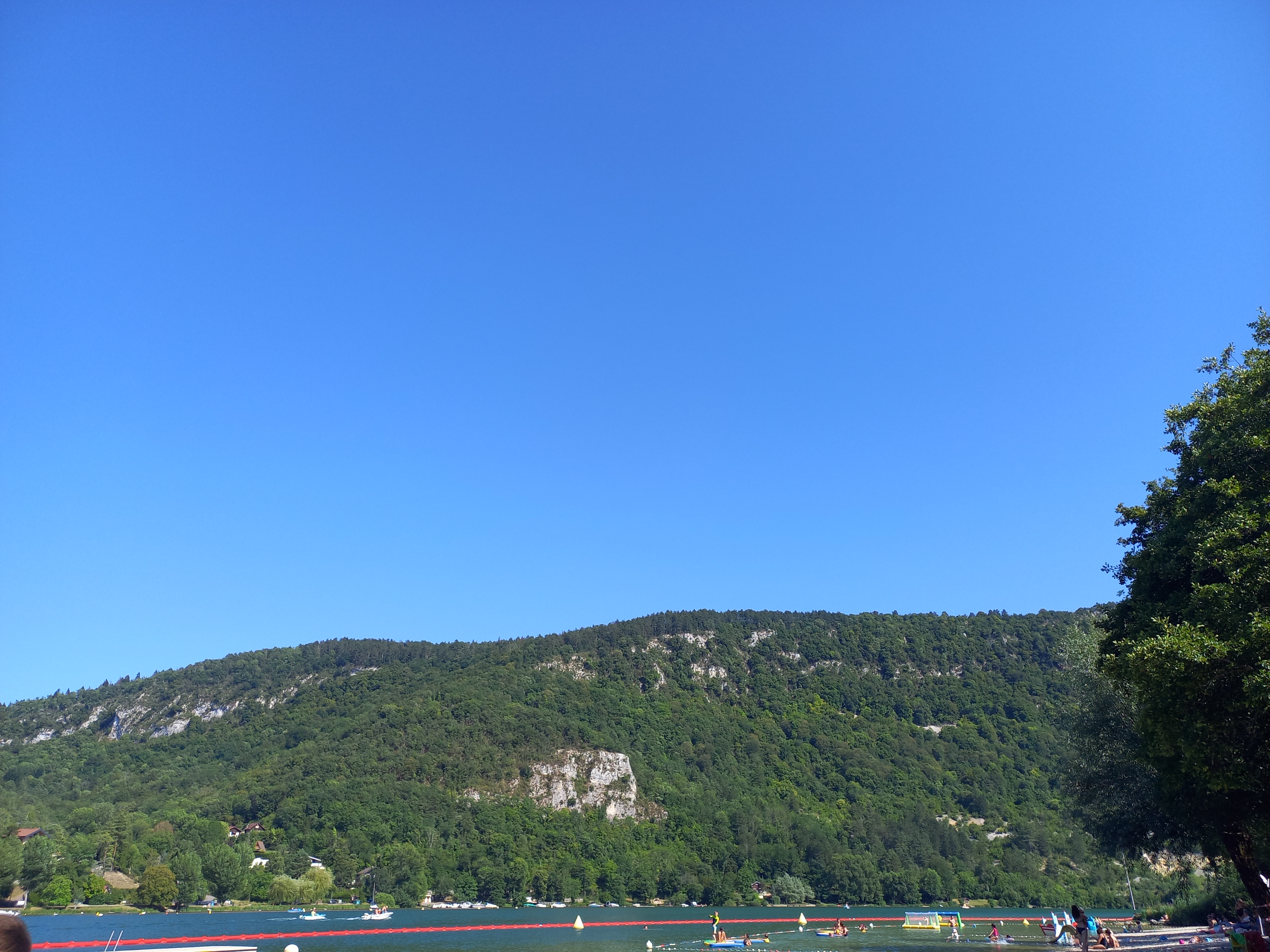 Photo n° 2 de l'avis de canard.e fait le 12/08/2023 à 13:26