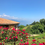 Photo n°2 de l'avis de Inger.i fait le 10/06/2019 à 05:21 sur le  Hotel Villa Smeralda à Malcesine