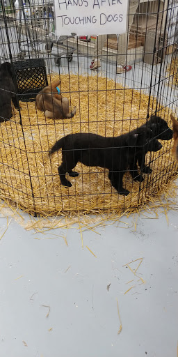 Pet Store «Teske Pet & Garden», reviews and photos, 2423 16th St, Moline, IL 61265, USA