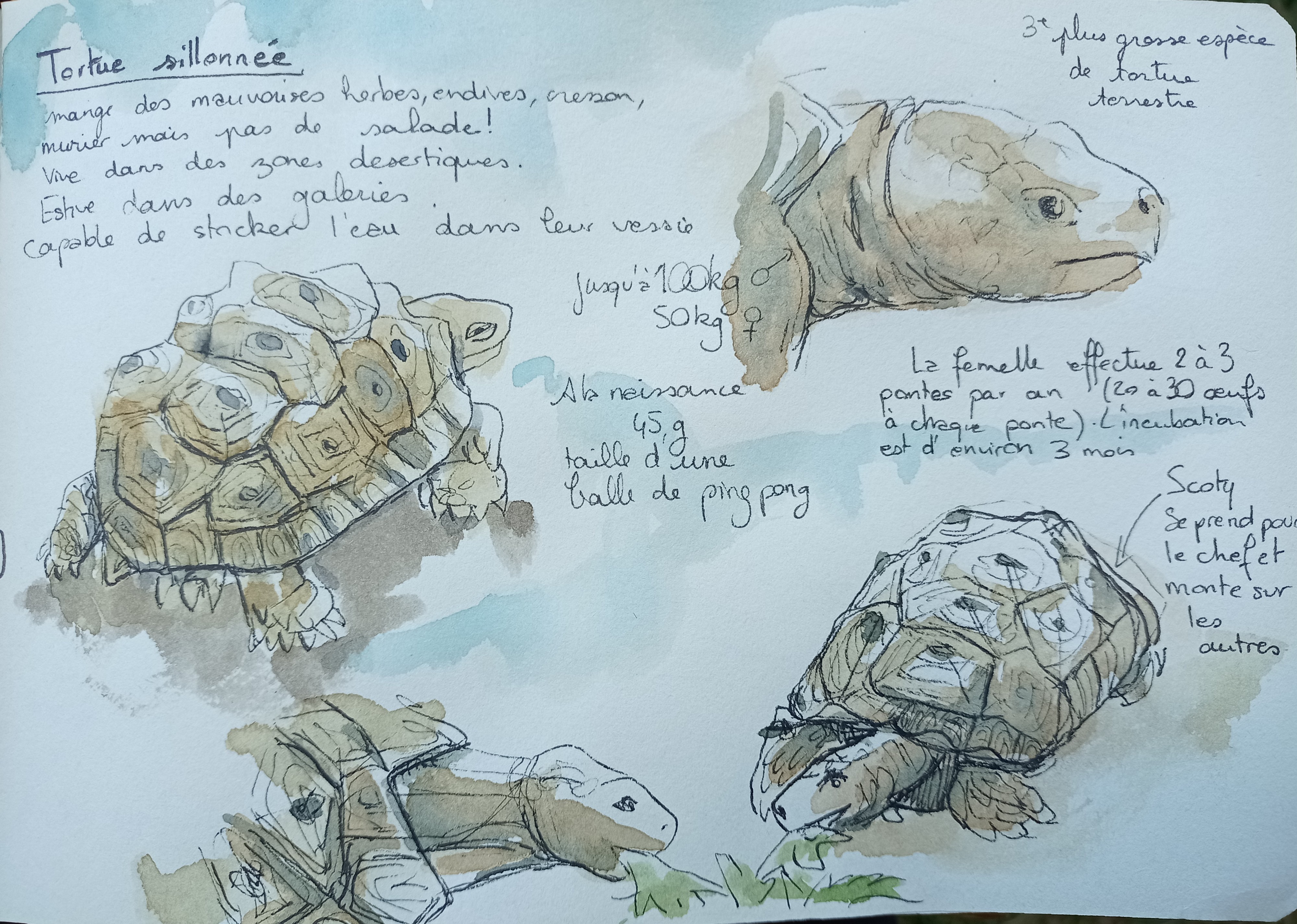 Photo n° 3 de l'avis de Mélanie.a fait le 20/07/2023 à 16:59