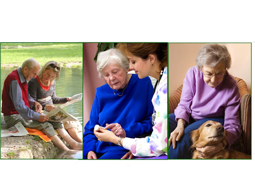 Snowline Hospice Thrift Store, 3550 Carson Rd, Camino, CA 95709, USA, 