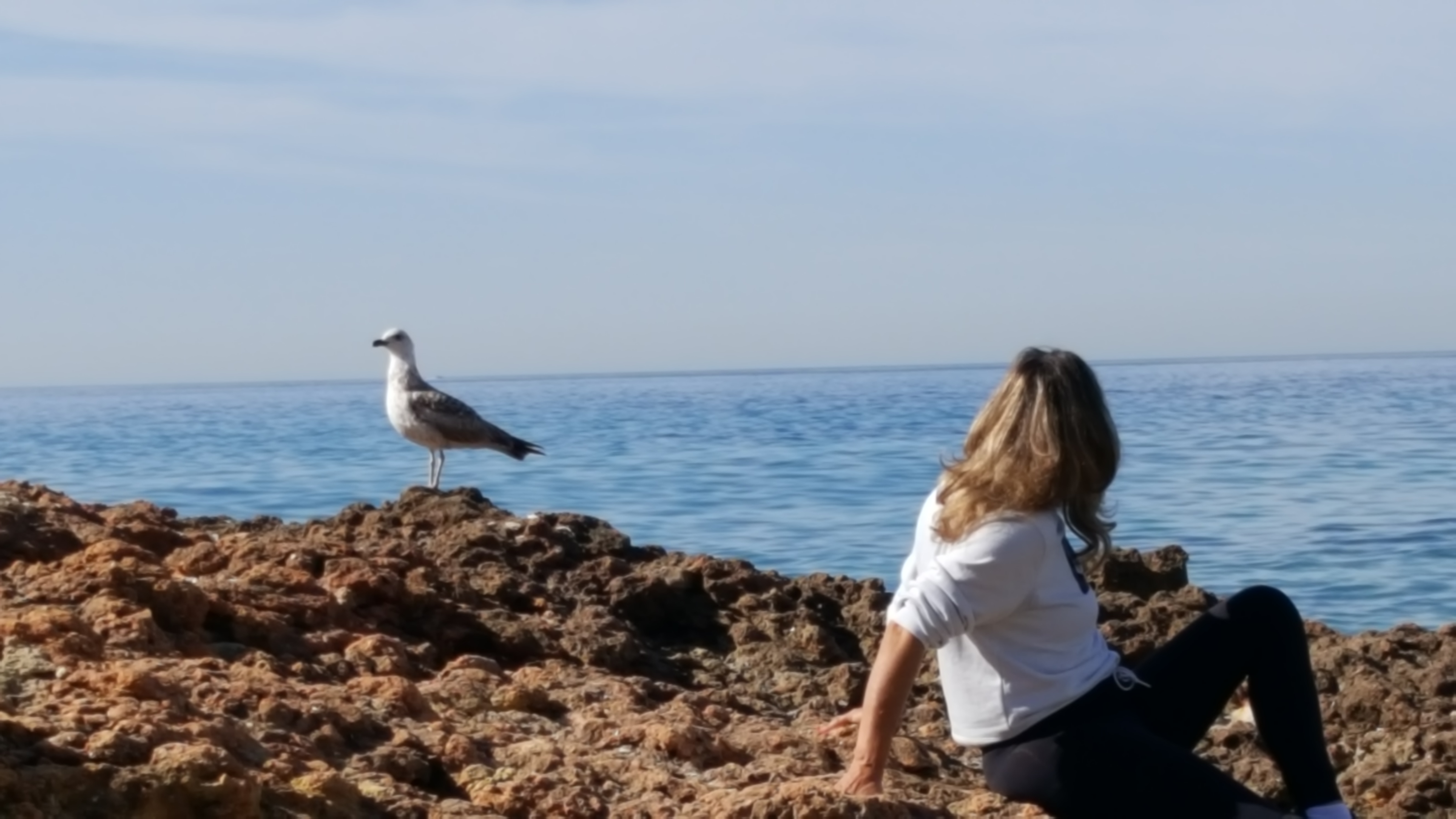 Photo n° 1 de l'avis de Davy.r fait le 26/03/2019 à 20:53
